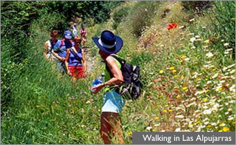 Walking in Las Alpujarras